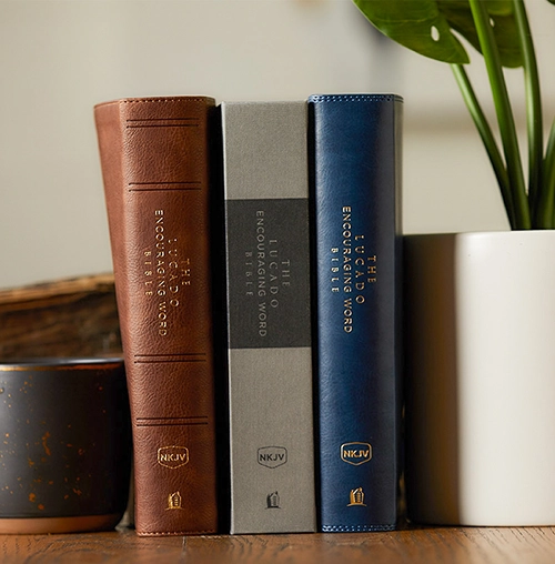 Bibles-and-Group-Study