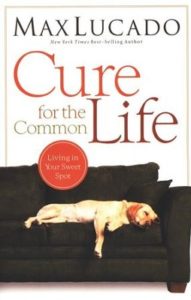 Cure for the Common Life: Living in Your Sweet Spot