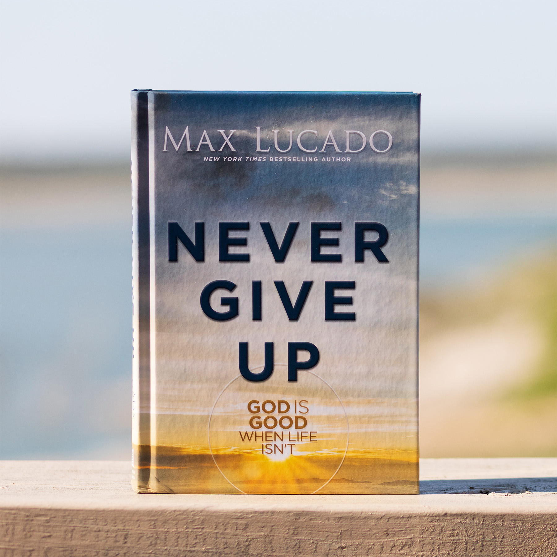 NeverGiveUp_lakeside_1800x1800